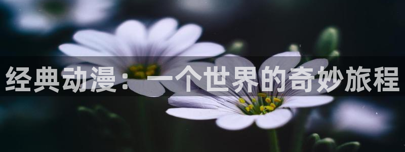 YY漫画手机在线阅读：经典动漫：一个世界的奇妙旅程配图