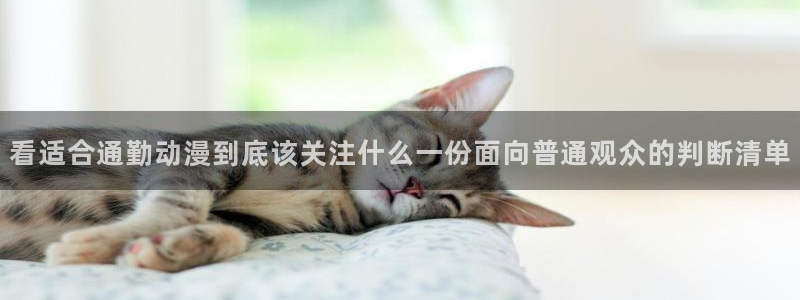 YY漫画手机网站：看适合通勤动漫到底该关注什么一份面向普通观众的判断清单配图