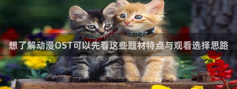 YY漫画本周推荐：想了解动漫OST可以先看这些题材特点与观看选择思路配图