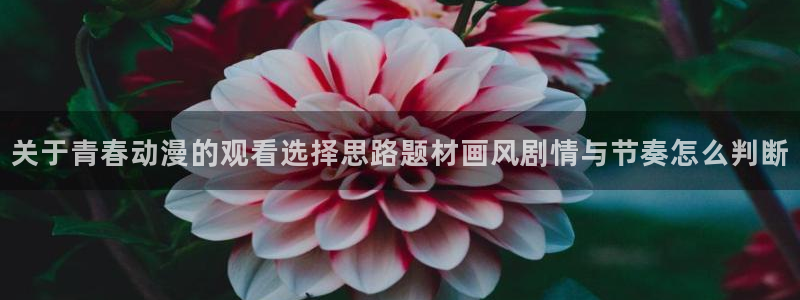 YY漫画完结作品推荐:关于青春动漫的观看选择思路题材画风剧情与节奏怎么判断配图
